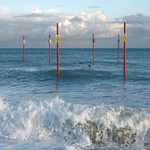 Red Posts by Sonia Hunt