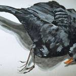 Highlight for Album: Scilla Allen