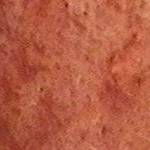 Highlight for Album: Piety