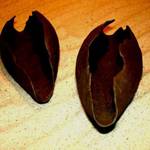 Highlight for Album: Non-figurative Ceramics