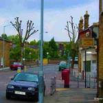 Highlight for Album: Daydreams: Trees: Photographic Series: Butchery