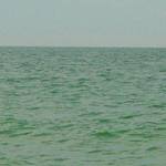 Highlight for Album: Daydreams: Witness: Photographic Series